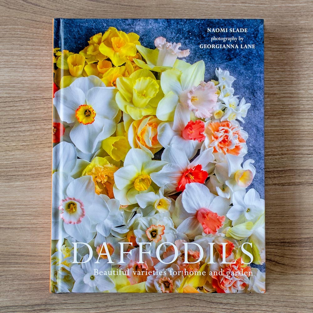 Daffodils: Beautiful Varieties for Home and Garden