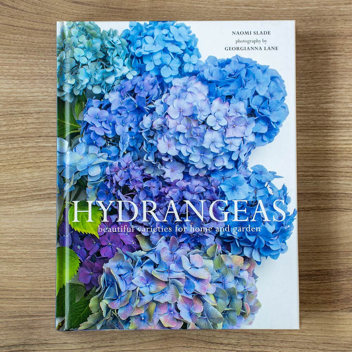 Hydrangeas: Beautiful Varieties for Home and Garden