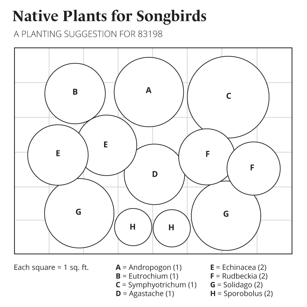 Native Plants for Songbirds
