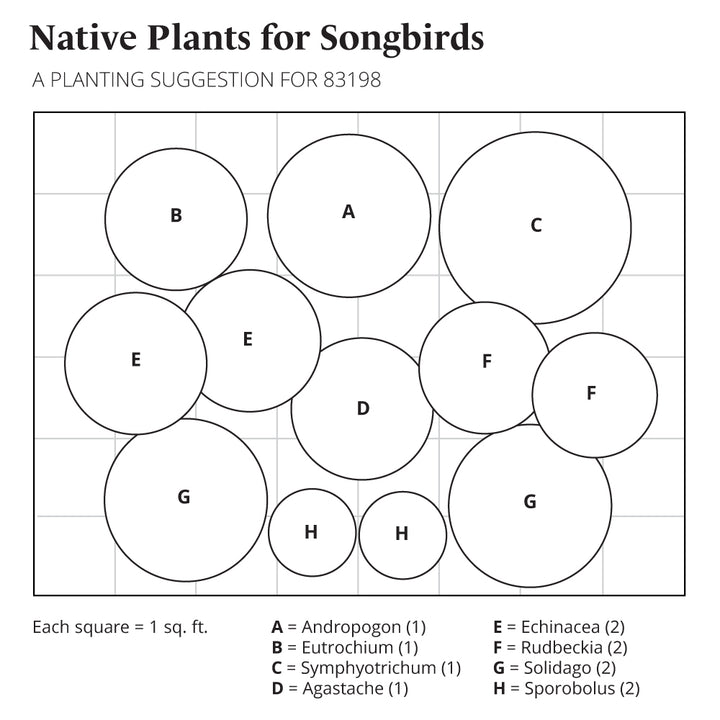 Native Plants for Songbirds
