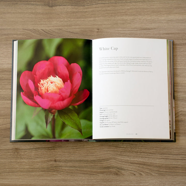 Peonies: Beautiful Varieties for Home and Garden