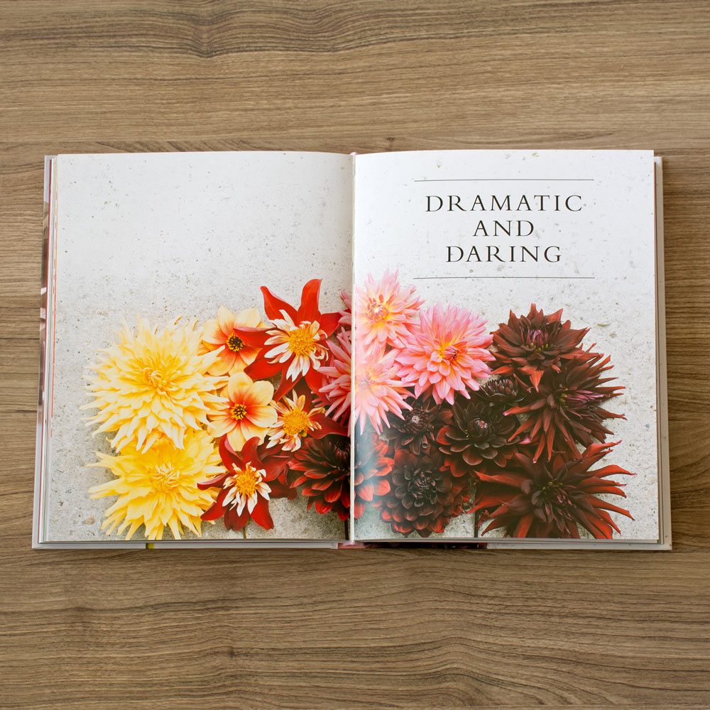 Dahlias: Beautiful Varieties for Home and Garden