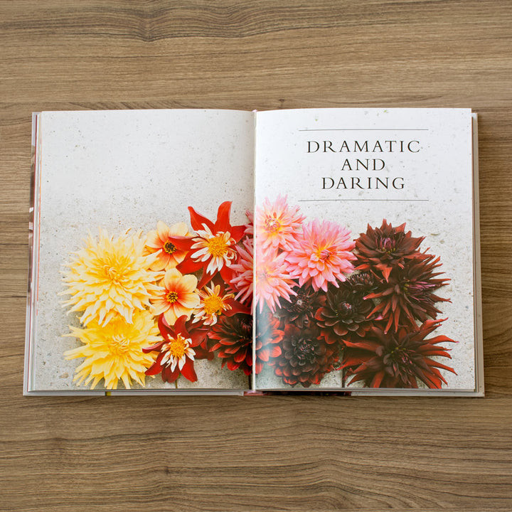 Dahlias: Beautiful Varieties for Home and Garden