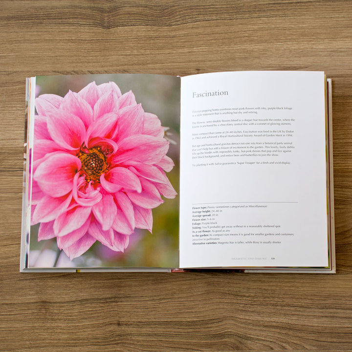Dahlias: Beautiful Varieties for Home and Garden