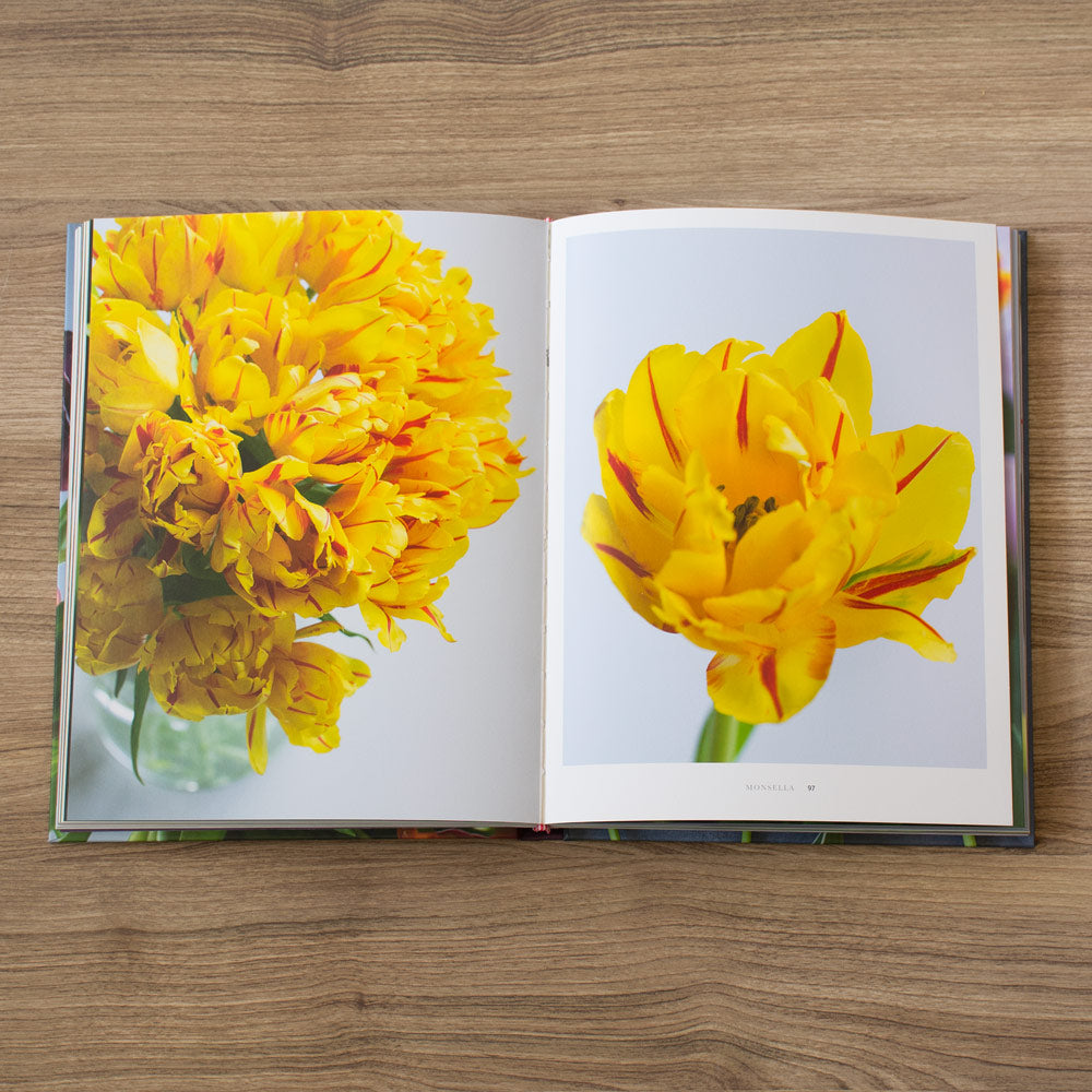 Tulips: Beautiful Varieties for Home and Garden