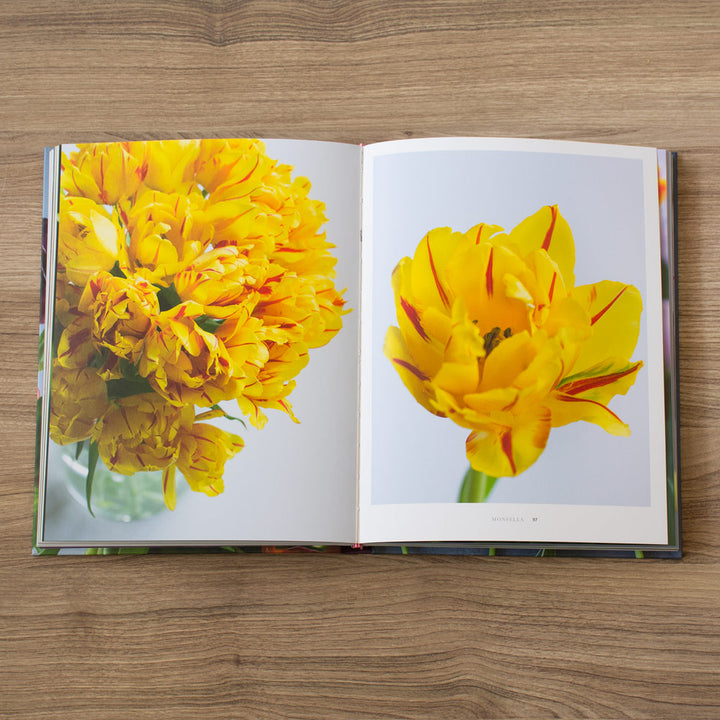 Tulips: Beautiful Varieties for Home and Garden
