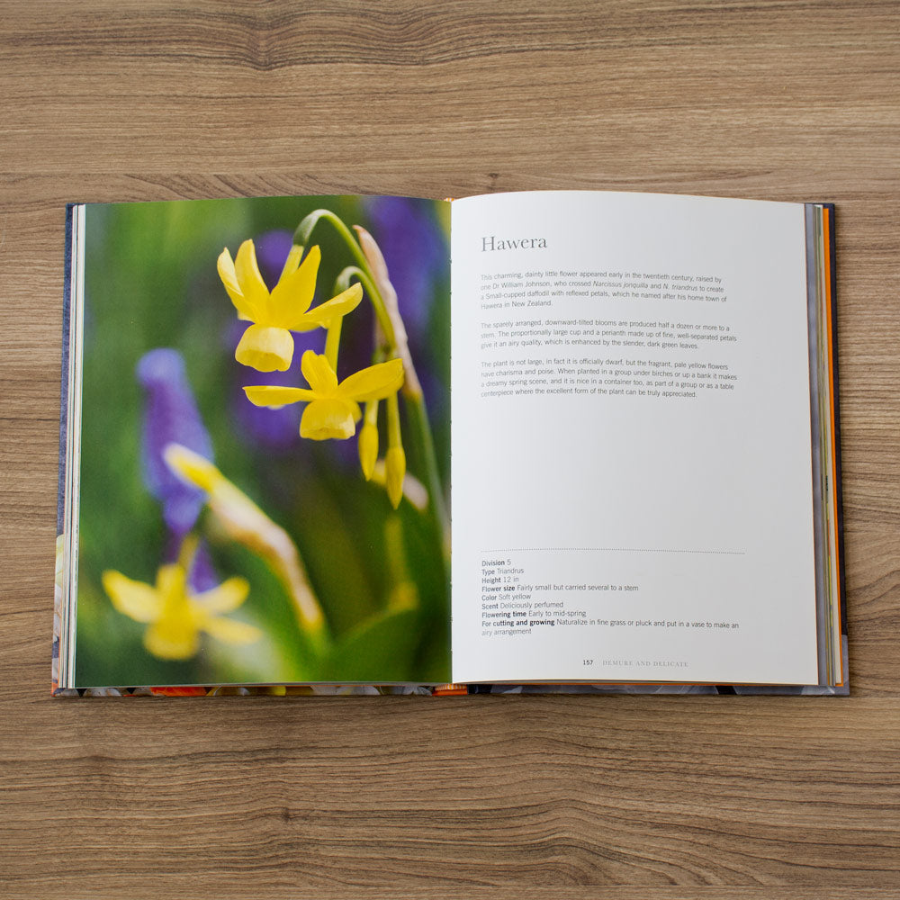 Daffodils: Beautiful Varieties for Home and Garden