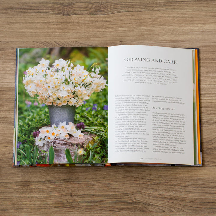 Daffodils: Beautiful Varieties for Home and Garden