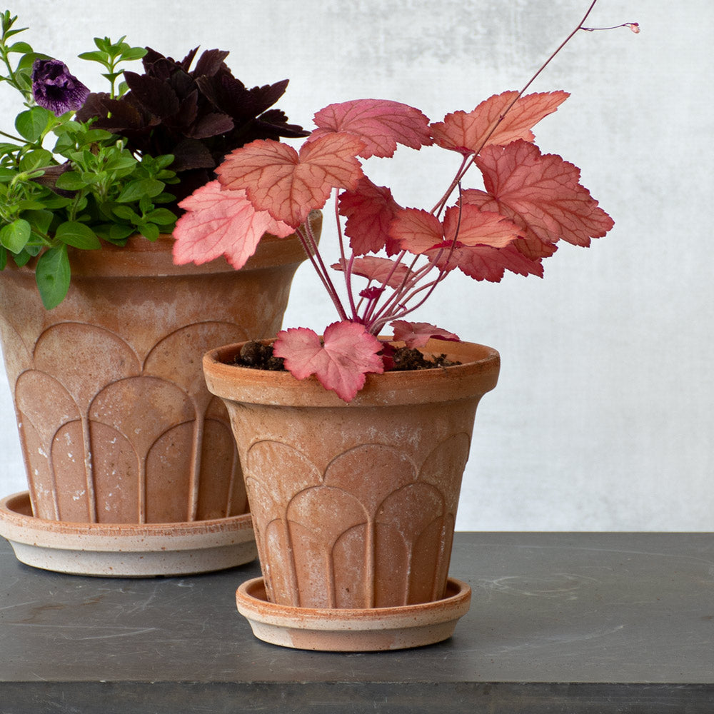 Bergs Fleur Pot & Saucer, Rosa