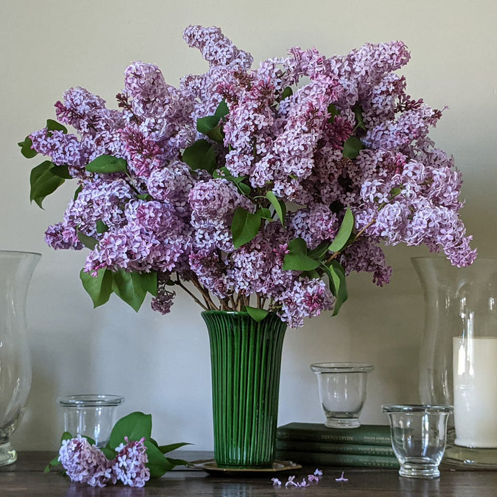 Bergs Daisy Vase, Emerald Green