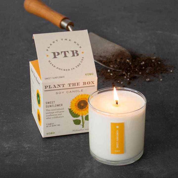 Plant the Box Sweet Sunflower Candle