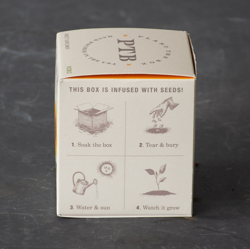 Plant the Box Sweet Sunflower Candle