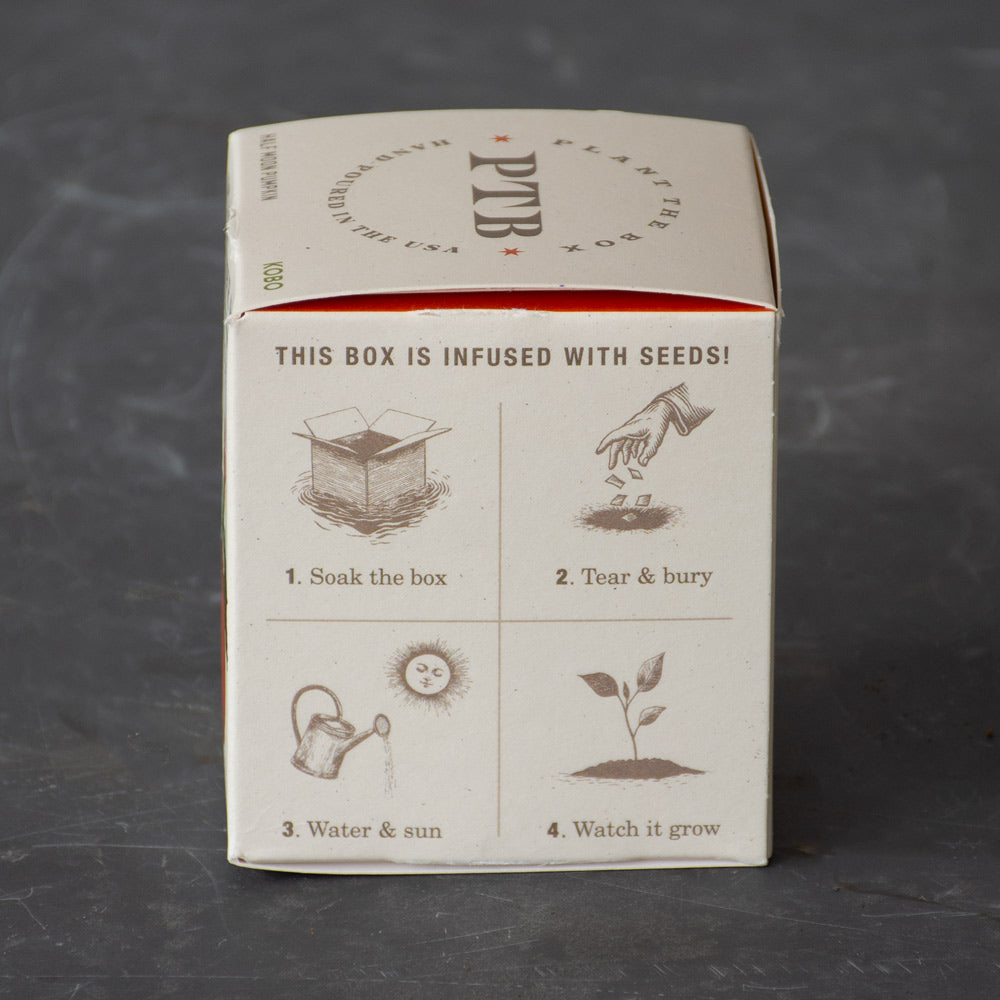 Plant the Box Half Moon Pumpkin Candle