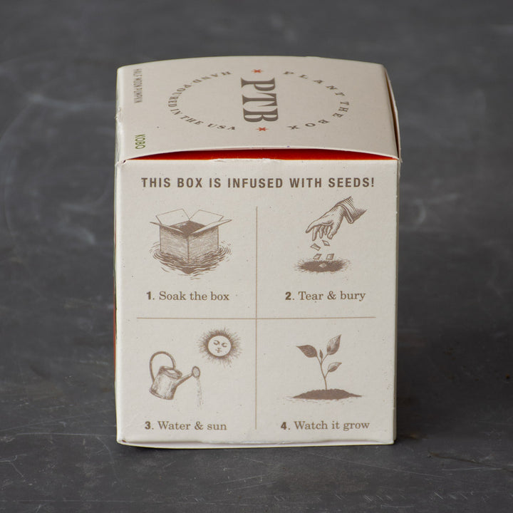 Plant the Box Half Moon Pumpkin Candle