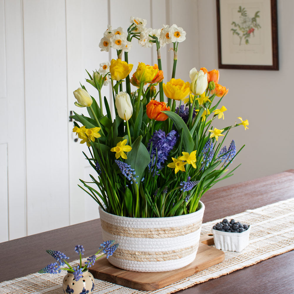 Confetti of Flowers Bulb Garden in large striped jute basket