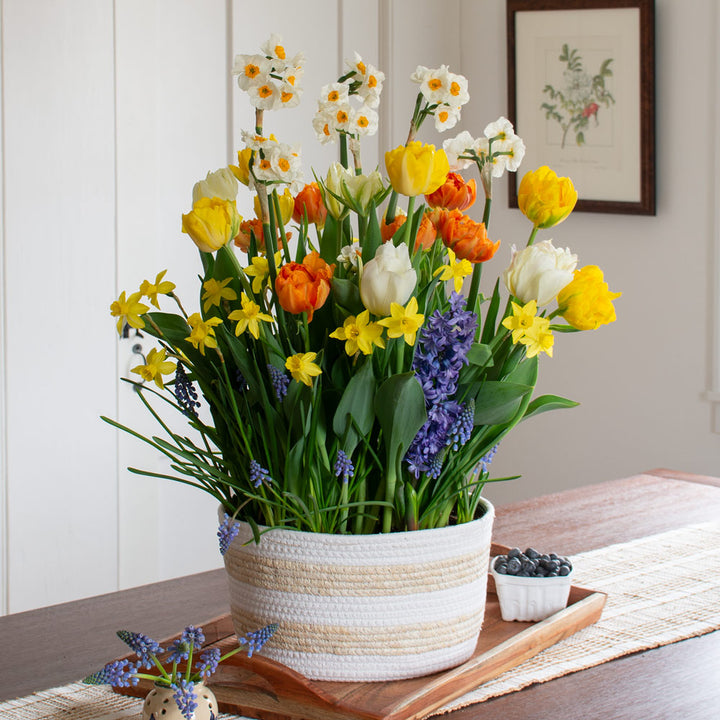 Confetti of Flowers Bulb Garden in X-large striped jute basket