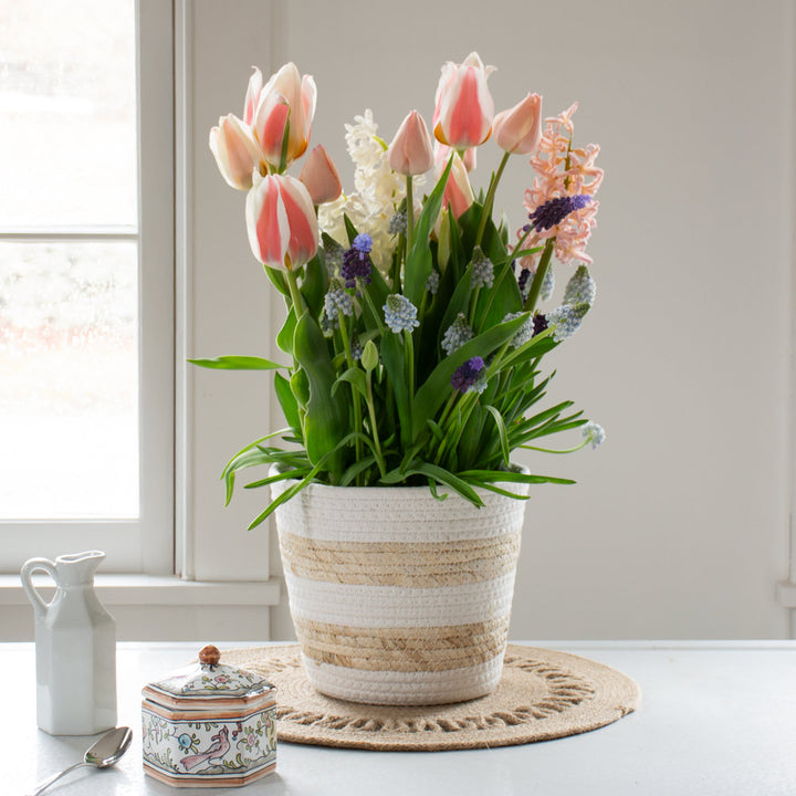 Whisper of Springtime Bulb Garden in medium striped jute basket