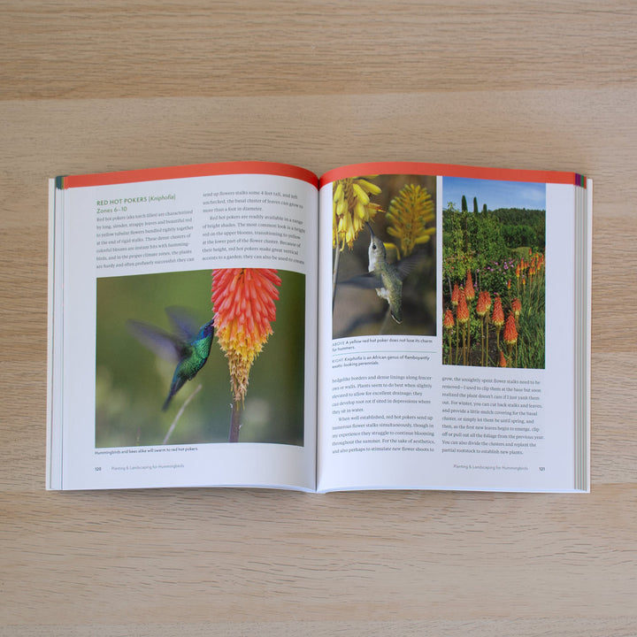 The Hummingbird Handbook
