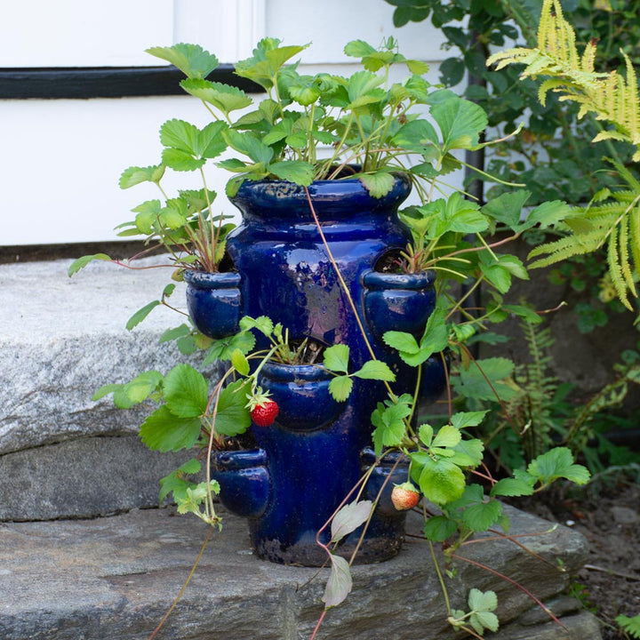Glazed Ceramic 10-Pocket Strawberry Jar
