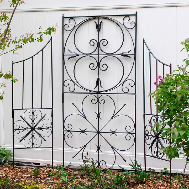 Aldridge Large Scrolled Trellis