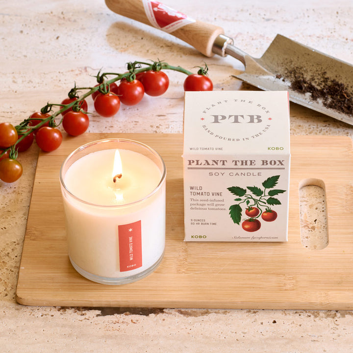 Plant the Box Wild Tomato Vine