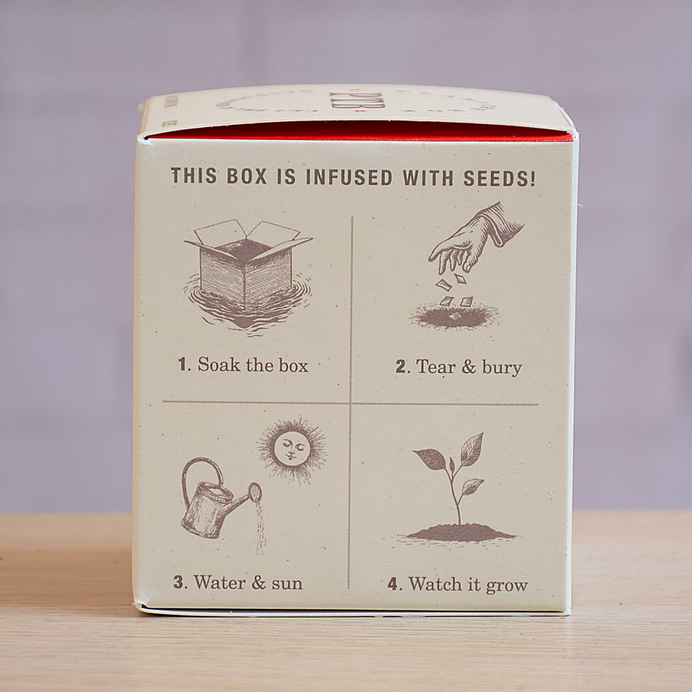 Plant the Box Wild Tomato Vine Candle
