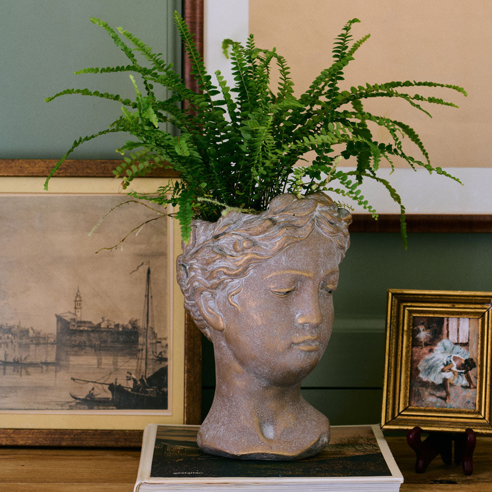 Athena Ceramic Planter