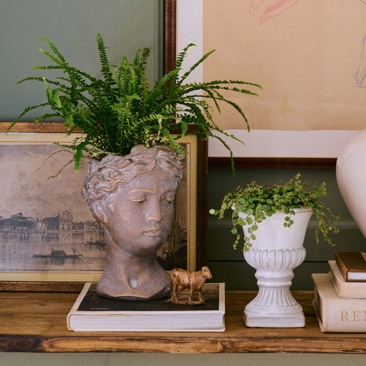 Athena Ceramic Planter