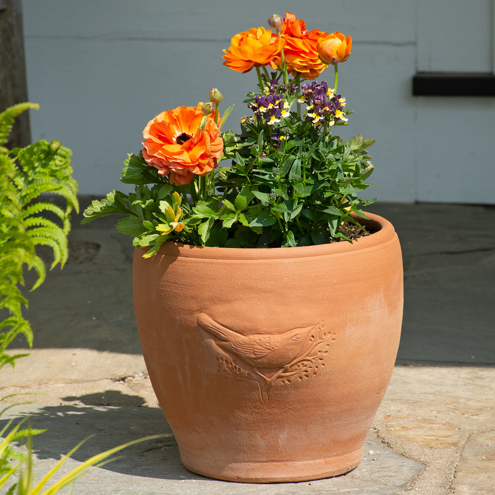 Uguisu Pot