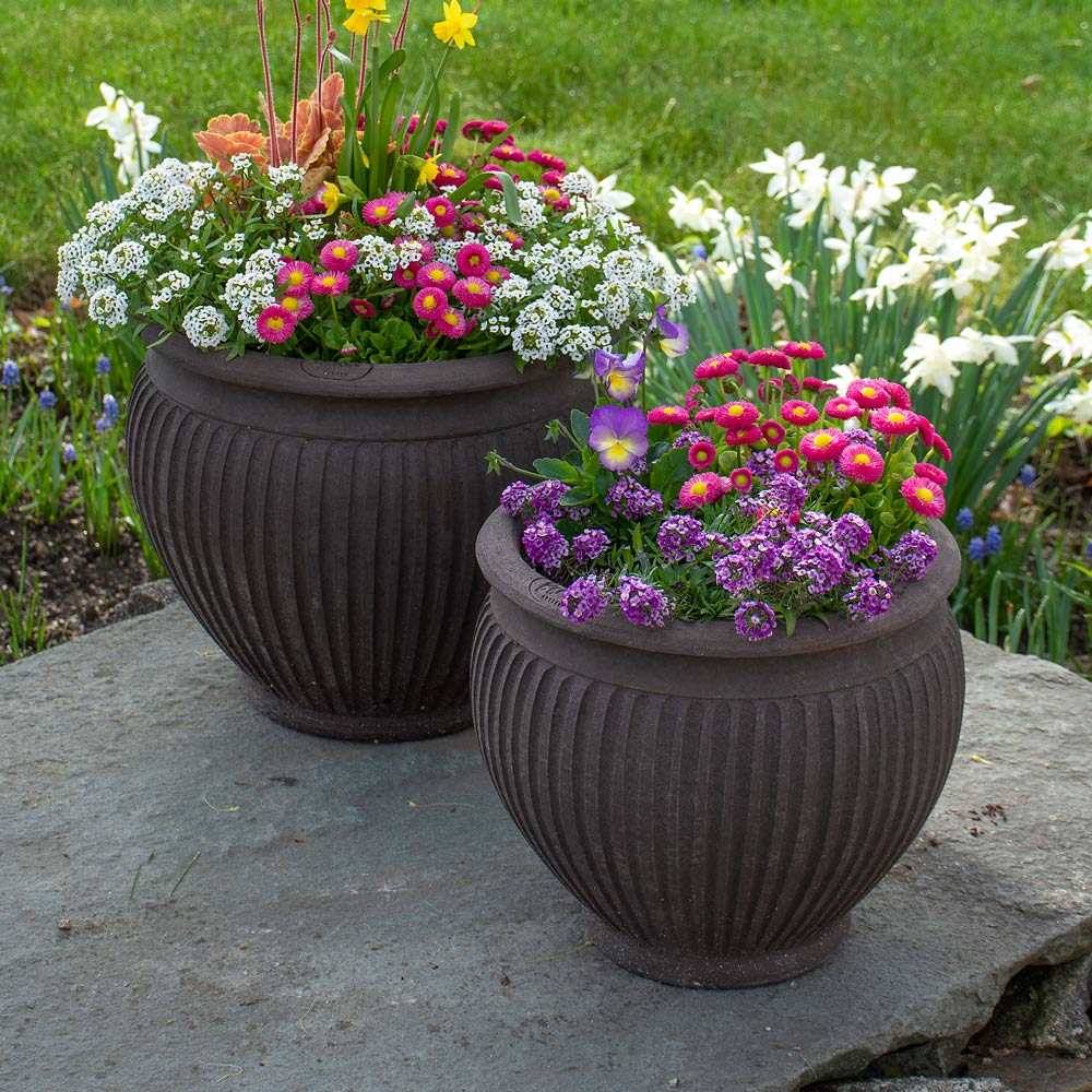 Bergs Piccolina Pot, Gray