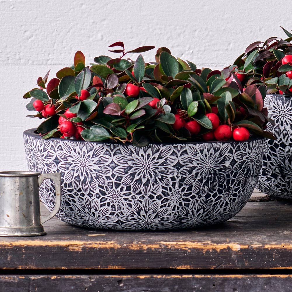 Etched Chrysanthemum Ceramic Bowl