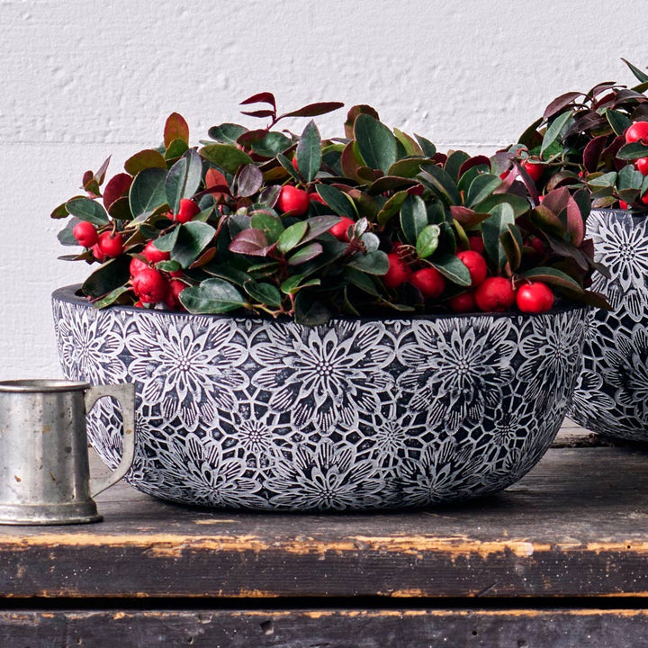 Etched Chrysanthemum Ceramic Bowl