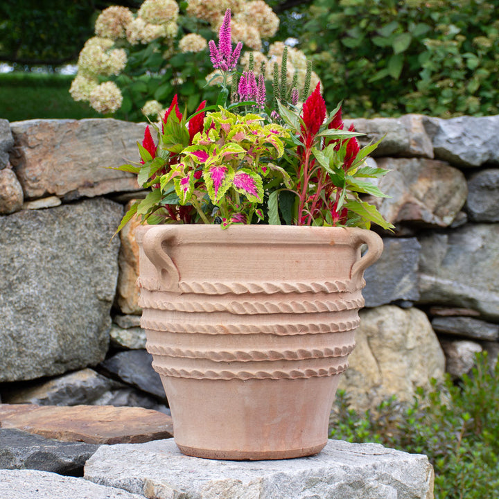 Cretan Pot Kostis