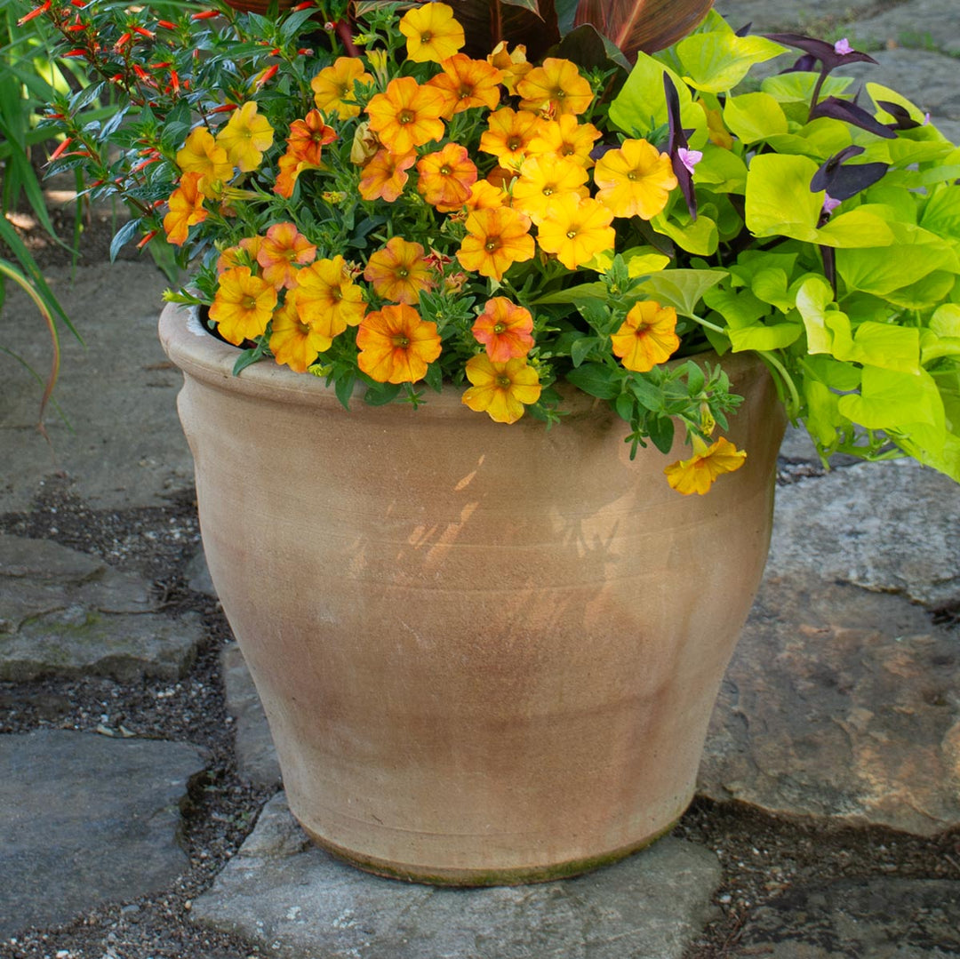 Cretan Pot Patitiri