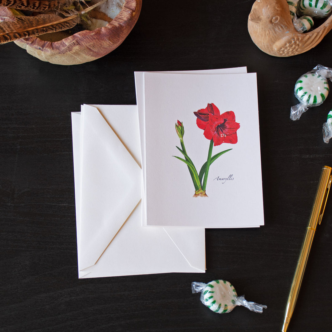 Amaryllis Note Cards, Set of 8