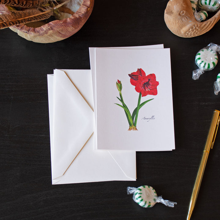Amaryllis Note Cards, Set of 8