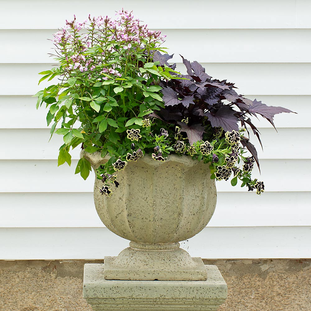 Everbloom Lavastone Urn, Short