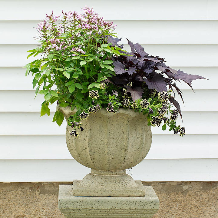 Everbloom Lavastone Urn, Short