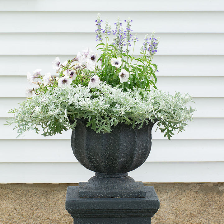 Everbloom Lavastone Urn, Short