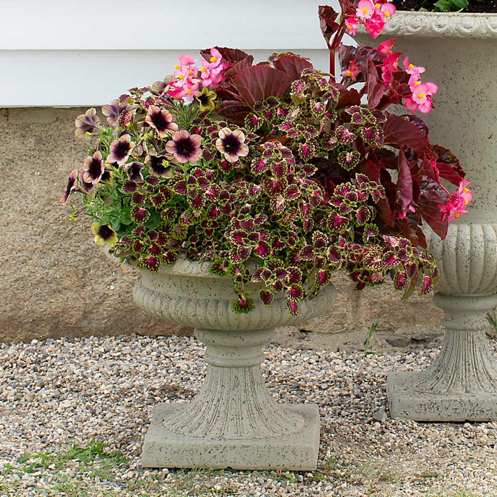 Victorian Lavastone Urn