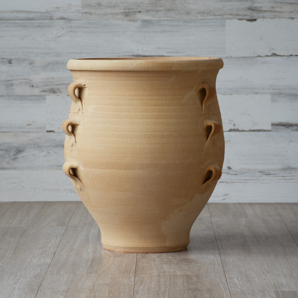 Cretan Pot Mitos