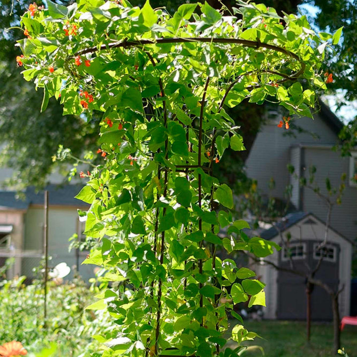 Mushroom Garden Trellis