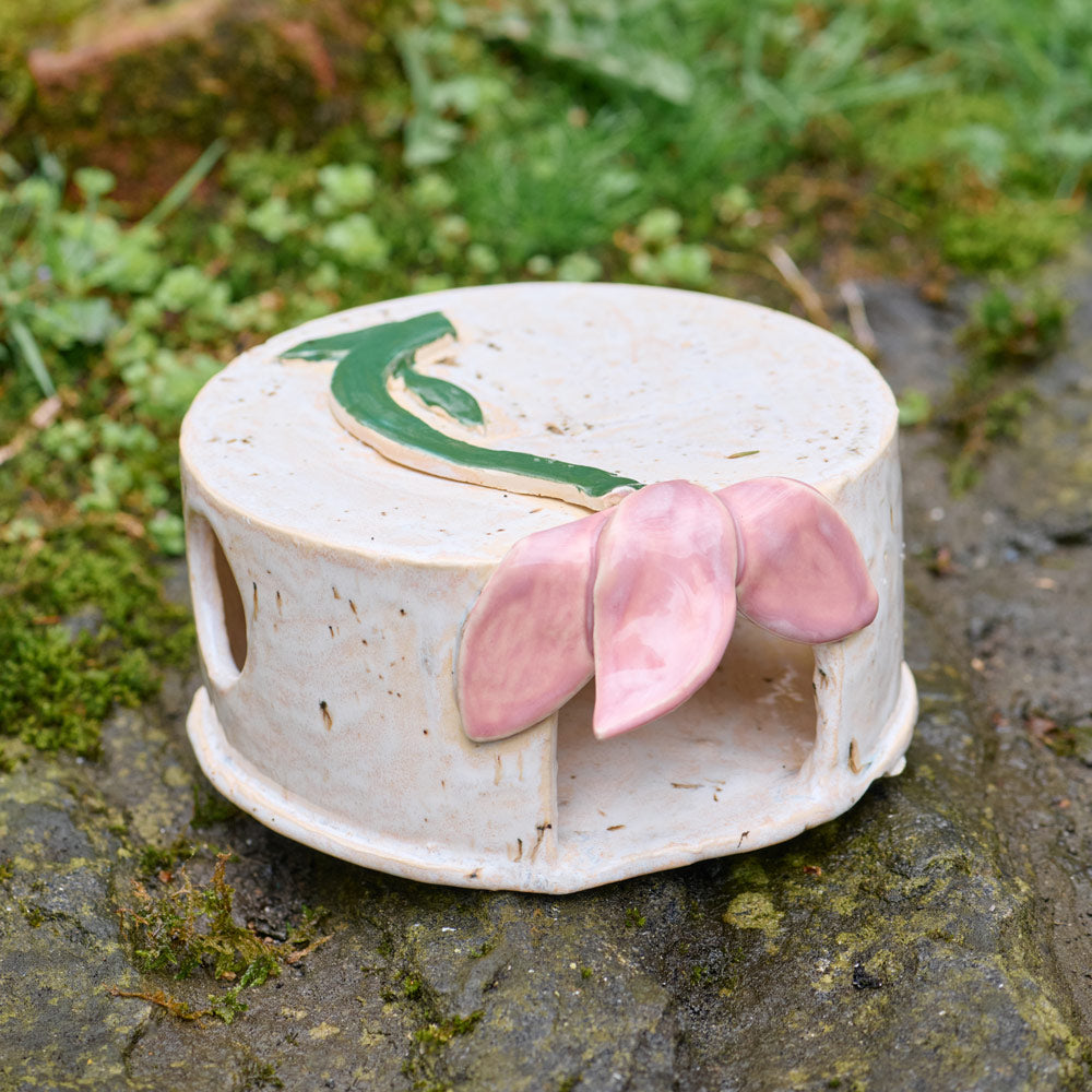 Lazy Tulip Toad House