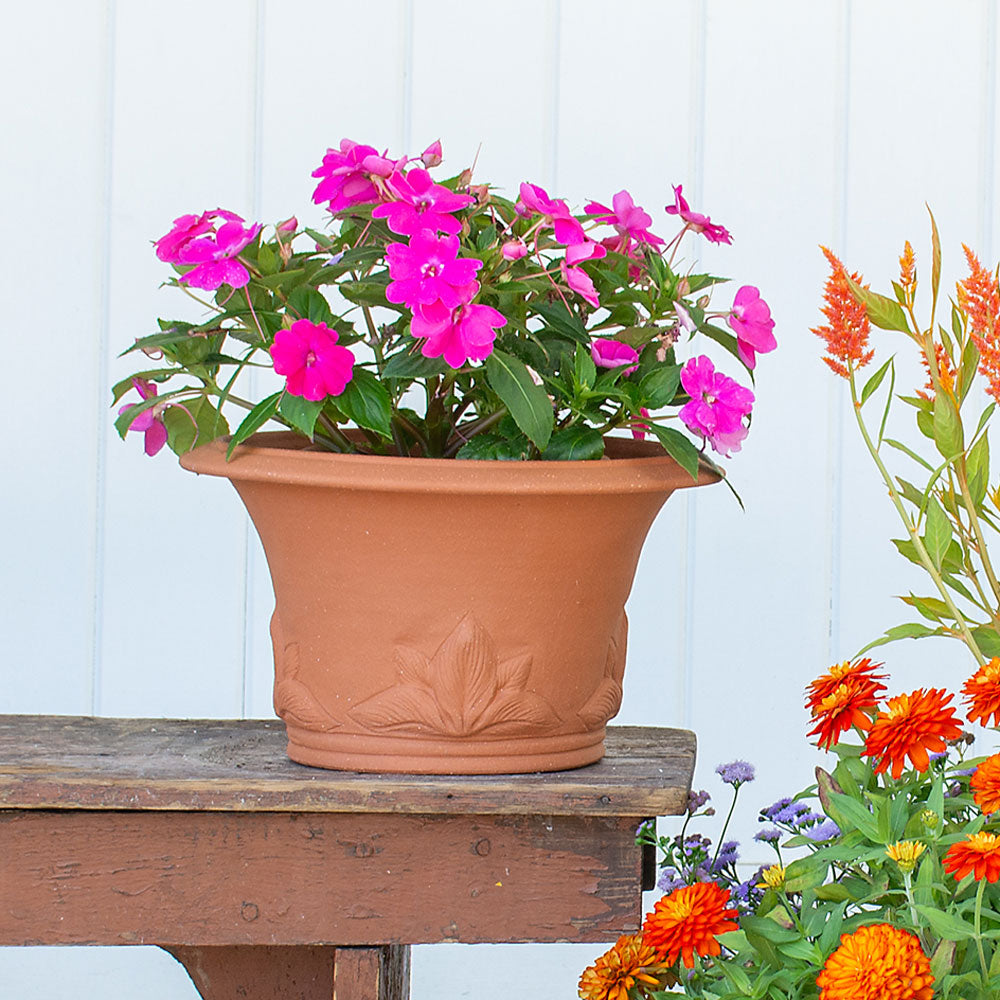 Hosta Pot