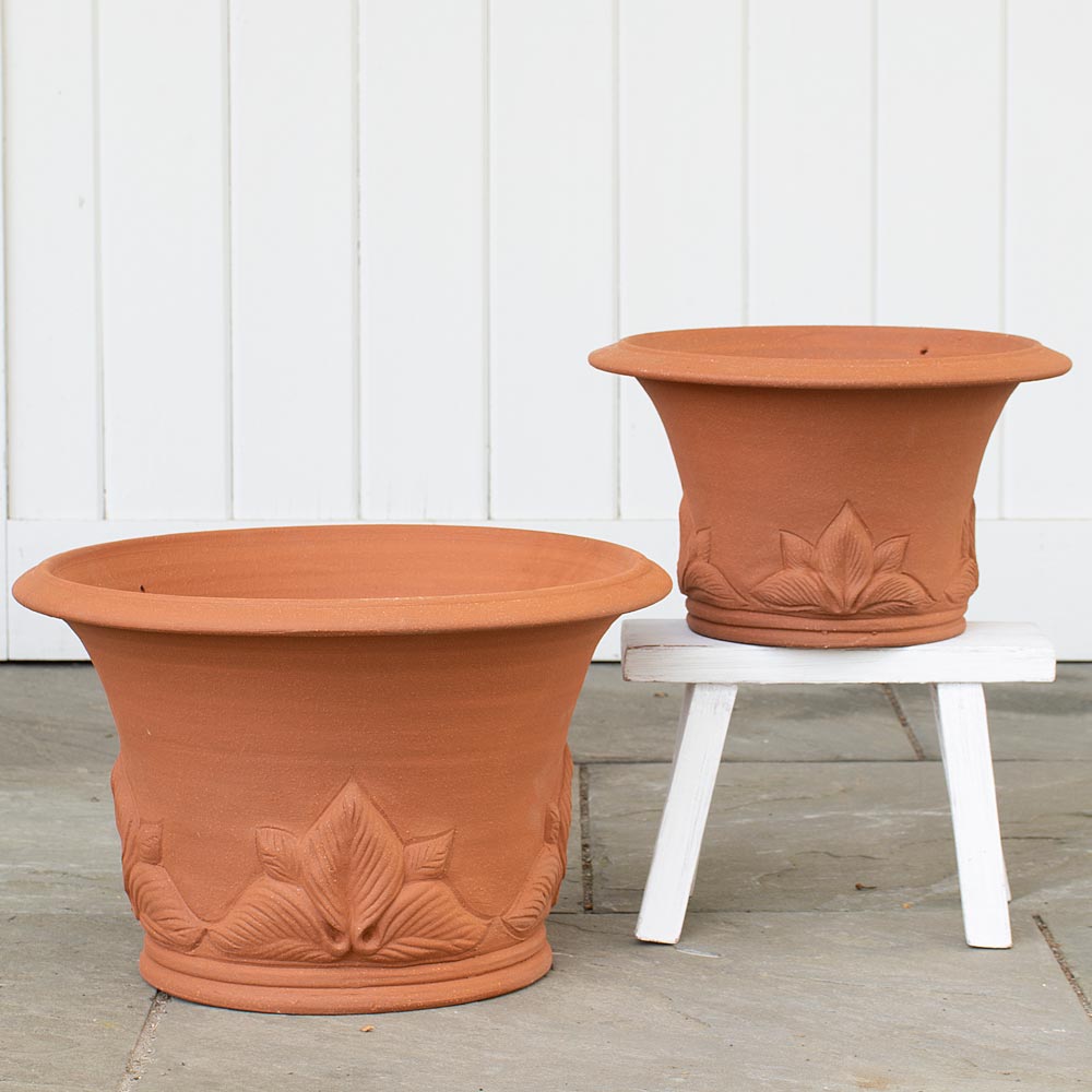 Hosta Pot
