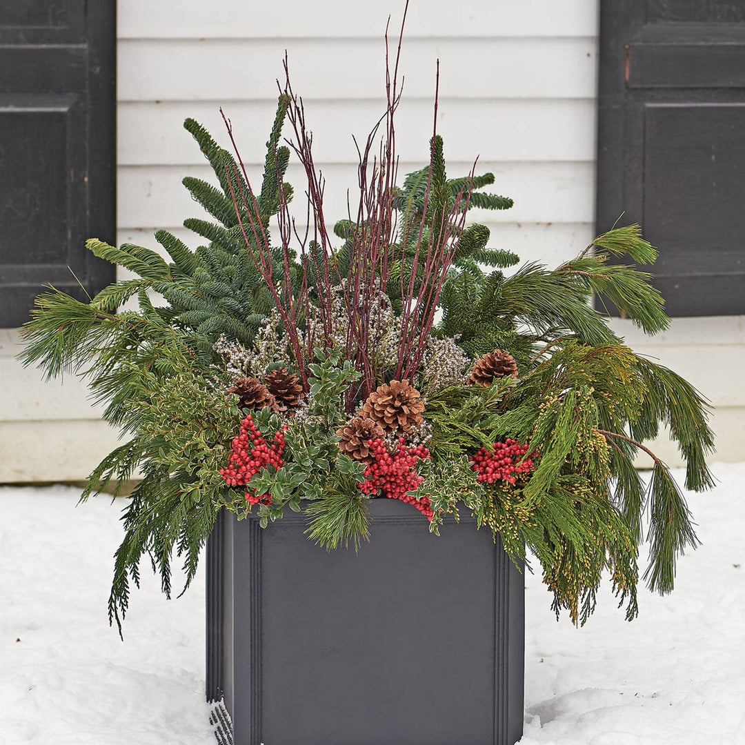 Holiday Greens Decorating Kit