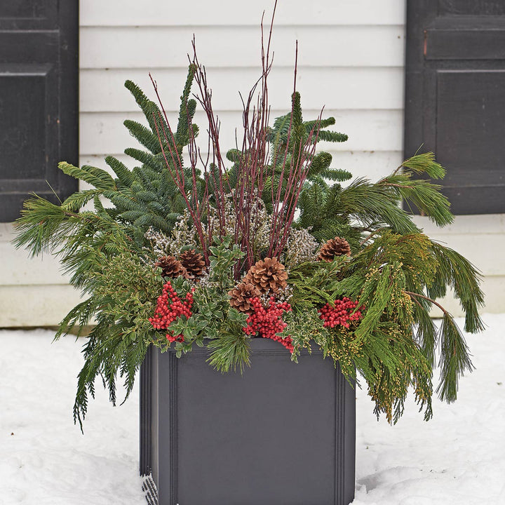 Holiday Greens Decorating Kit