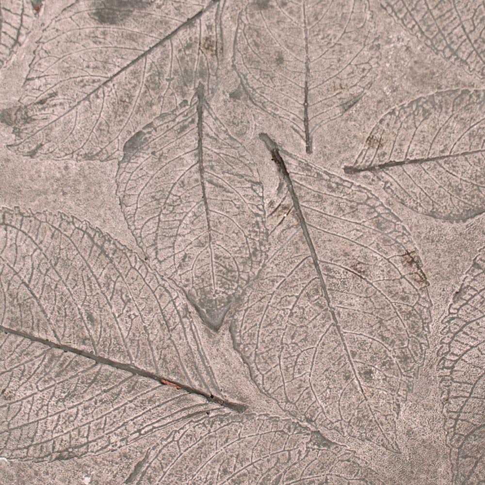 Hydrangea Leaf Stepping Stone