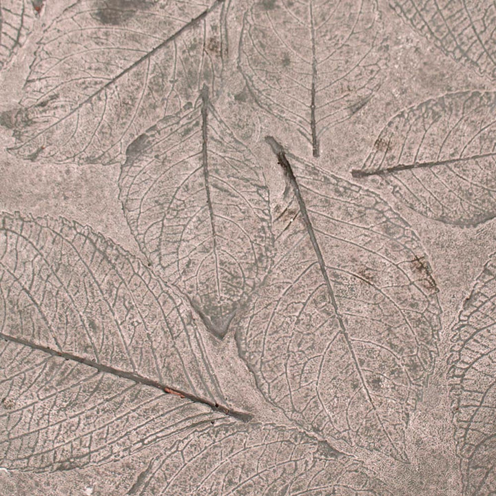 Hydrangea Leaf Stepping Stone