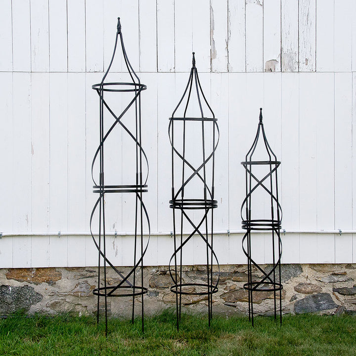 Chateau Tuteur, Black